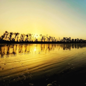 Sunrise at beach